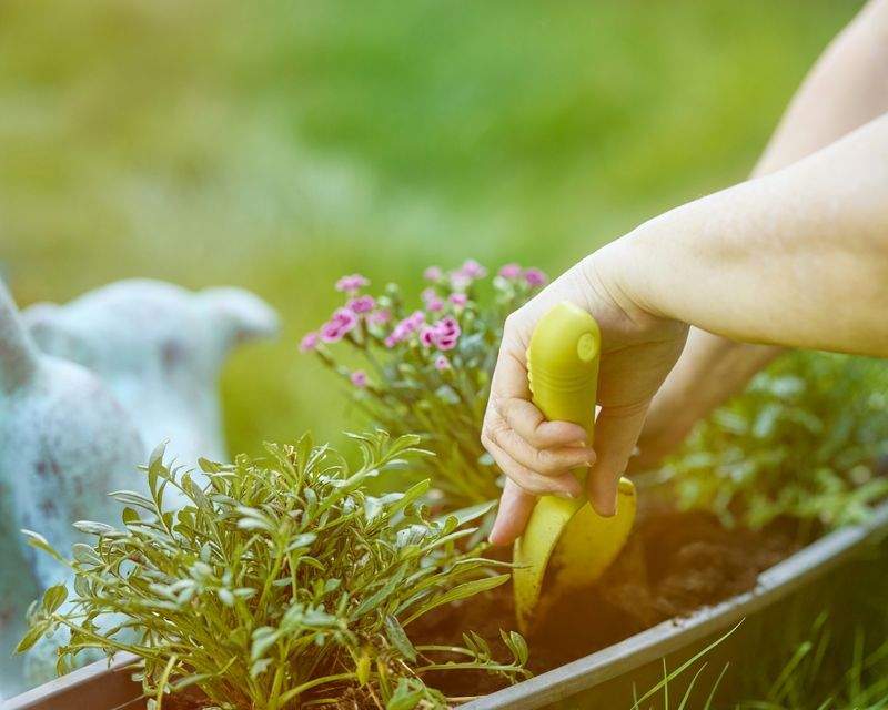 外構まわりの緑化提案